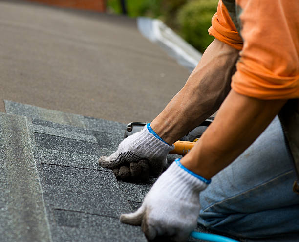 Roof Gutter Cleaning in Fairmont, NC
